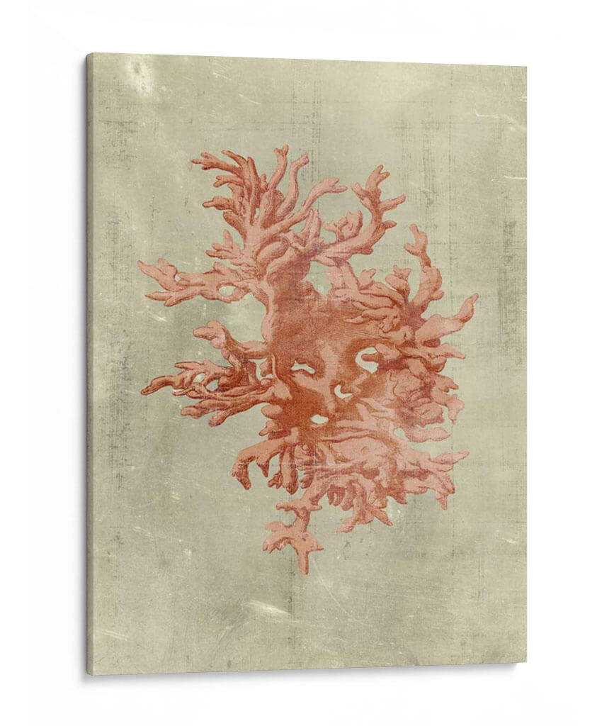 Coral En Terra Cotta - Vision Studio | Cuadro decorativo de Canvas Lab
