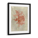 Coral En Terra Cotta - Vision Studio | Cuadro decorativo de Canvas Lab
