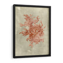 Coral En Terra Cotta - Vision Studio | Cuadro decorativo de Canvas Lab