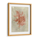 Coral En Terra Cotta - Vision Studio | Cuadro decorativo de Canvas Lab