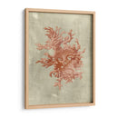 Coral En Terra Cotta - Vision Studio | Cuadro decorativo de Canvas Lab