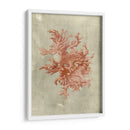 Coral En Terra Cotta - Vision Studio | Cuadro decorativo de Canvas Lab