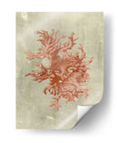 Coral En Terra Cotta - Vision Studio | Cuadro decorativo de Canvas Lab