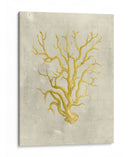 Coral En Mostaza - Vision Studio | Cuadro decorativo de Canvas Lab