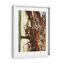 Robar Al Sol - Danny Head | Cuadro decorativo de Canvas Lab