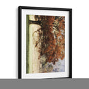 Tomate El Sol Roba Ii - Danny Head | Cuadro decorativo de Canvas Lab