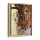 Tomate El Sol Roba Ii - Danny Head | Cuadro decorativo de Canvas Lab