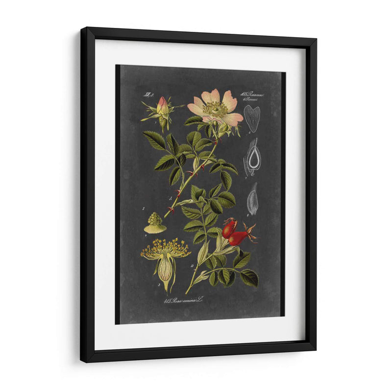 Midnight Botanical I - Vision Studio | Cuadro decorativo de Canvas Lab