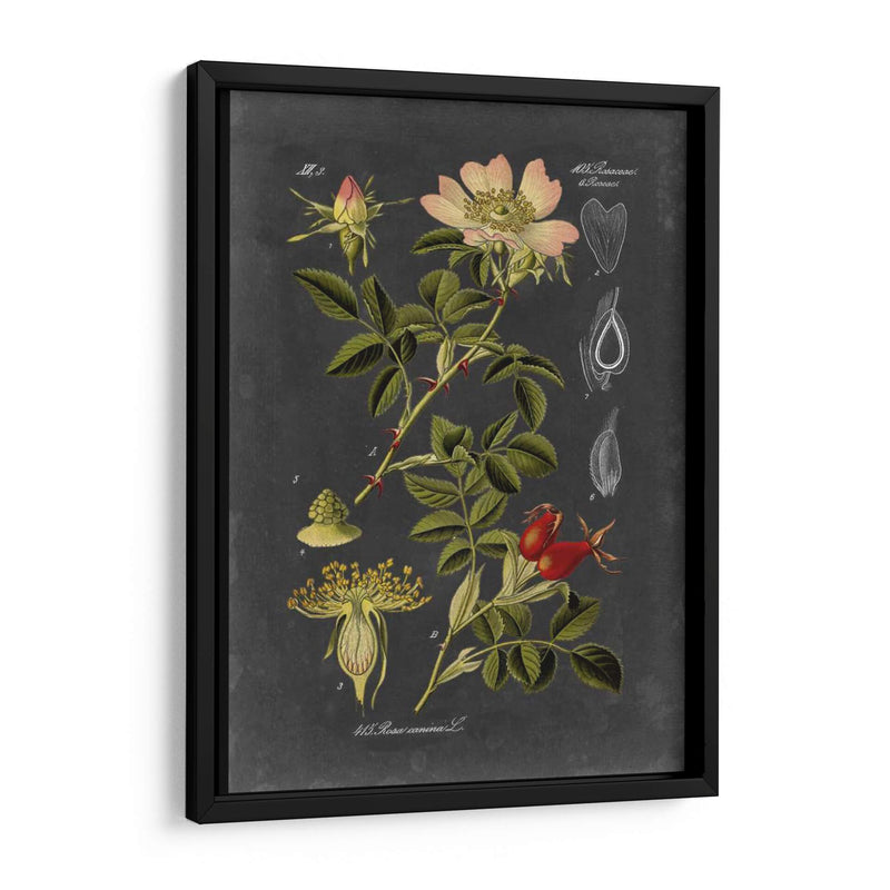 Midnight Botanical I - Vision Studio | Cuadro decorativo de Canvas Lab