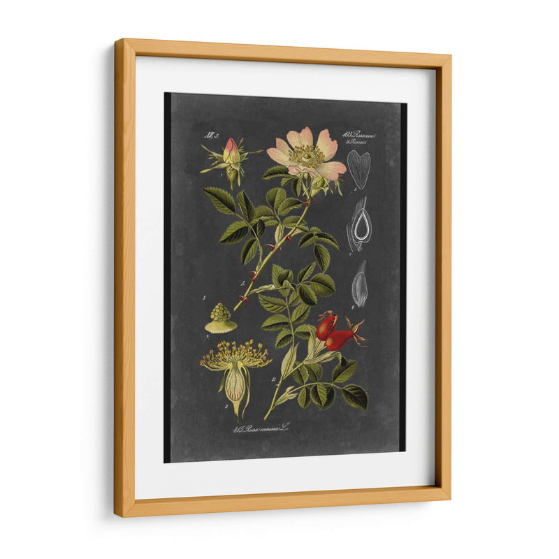 Midnight Botanical I - Vision Studio | Cuadro decorativo de Canvas Lab