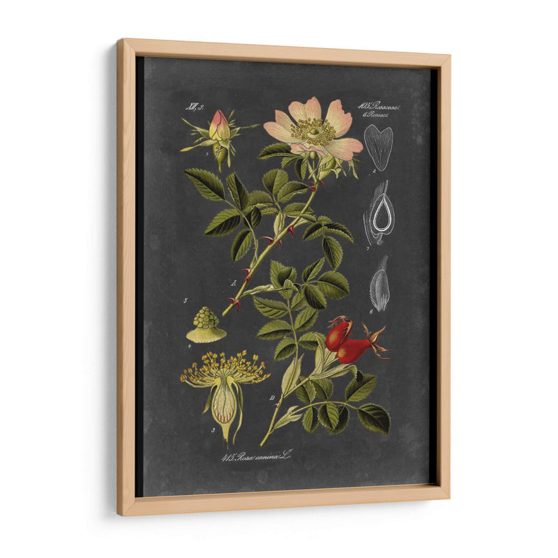 Midnight Botanical I - Vision Studio | Cuadro decorativo de Canvas Lab