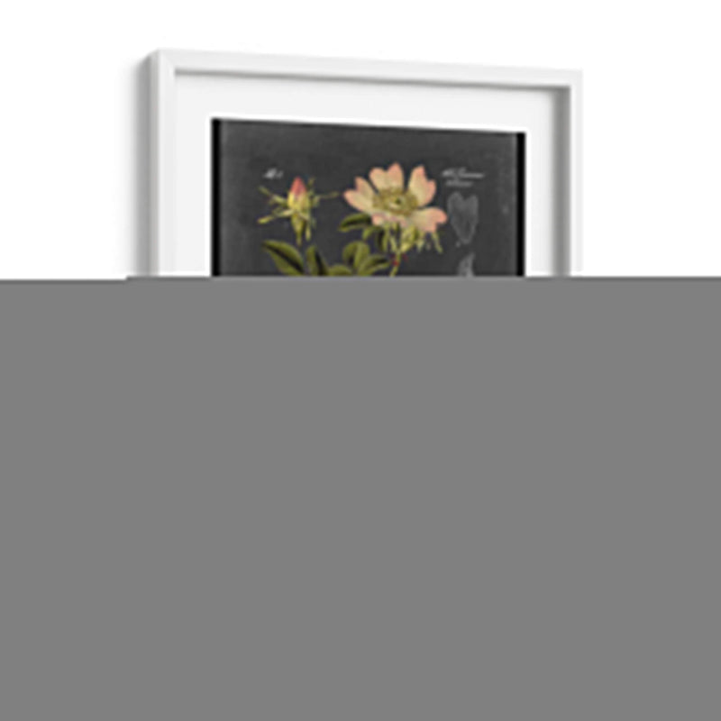 Midnight Botanical I - Vision Studio | Cuadro decorativo de Canvas Lab