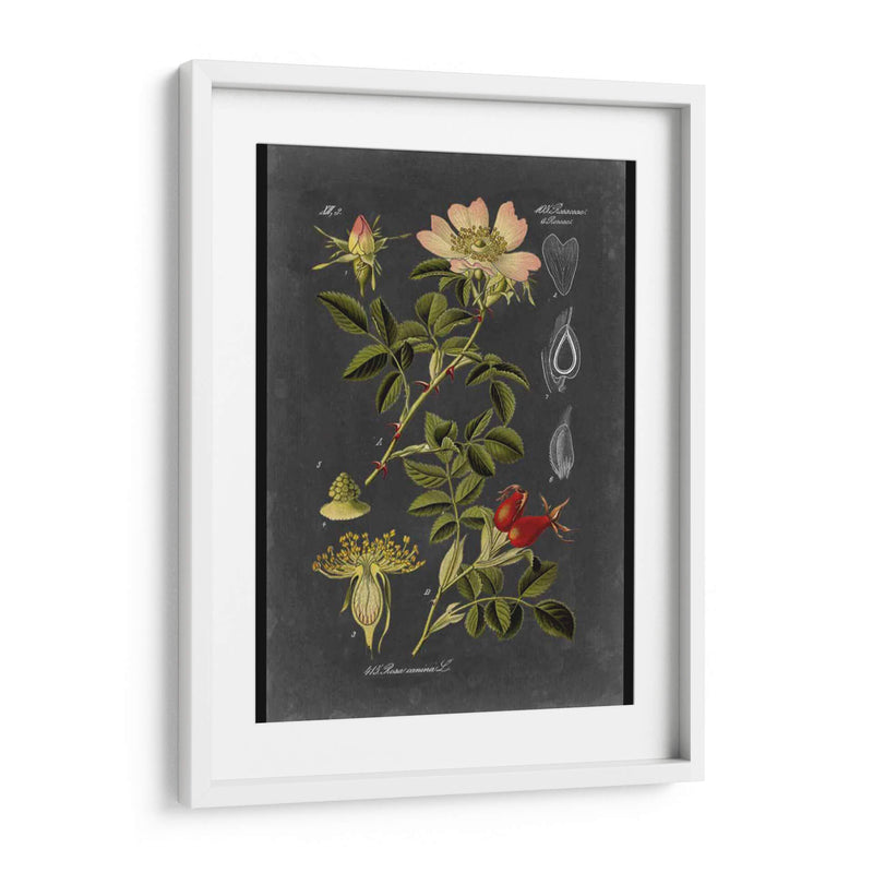 Midnight Botanical I - Vision Studio | Cuadro decorativo de Canvas Lab