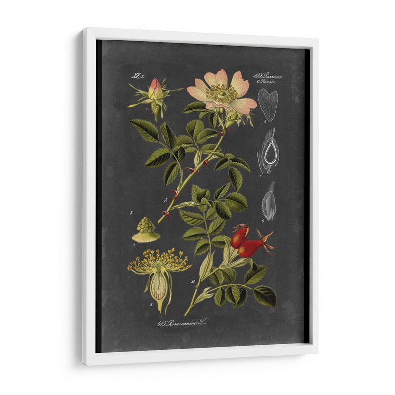 Midnight Botanical I - Vision Studio | Cuadro decorativo de Canvas Lab