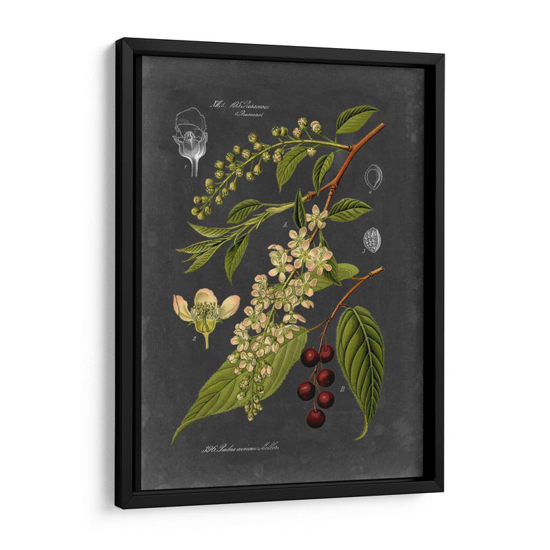 Midnight Botanical Ii - Vision Studio | Cuadro decorativo de Canvas Lab