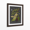 Midnight Botanical Ii - Vision Studio | Cuadro decorativo de Canvas Lab