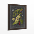 Midnight Botanical Ii - Vision Studio | Cuadro decorativo de Canvas Lab