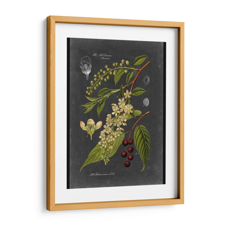 Midnight Botanical Ii - Vision Studio | Cuadro decorativo de Canvas Lab