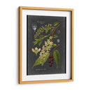 Midnight Botanical Ii - Vision Studio | Cuadro decorativo de Canvas Lab