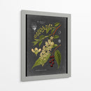 Midnight Botanical Ii - Vision Studio | Cuadro decorativo de Canvas Lab