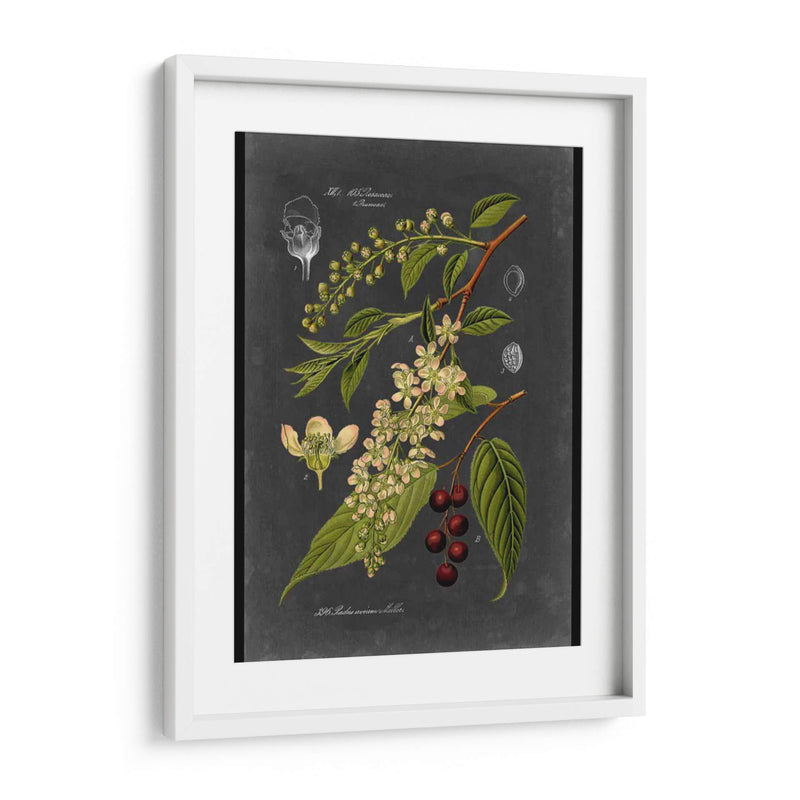 Midnight Botanical Ii - Vision Studio | Cuadro decorativo de Canvas Lab