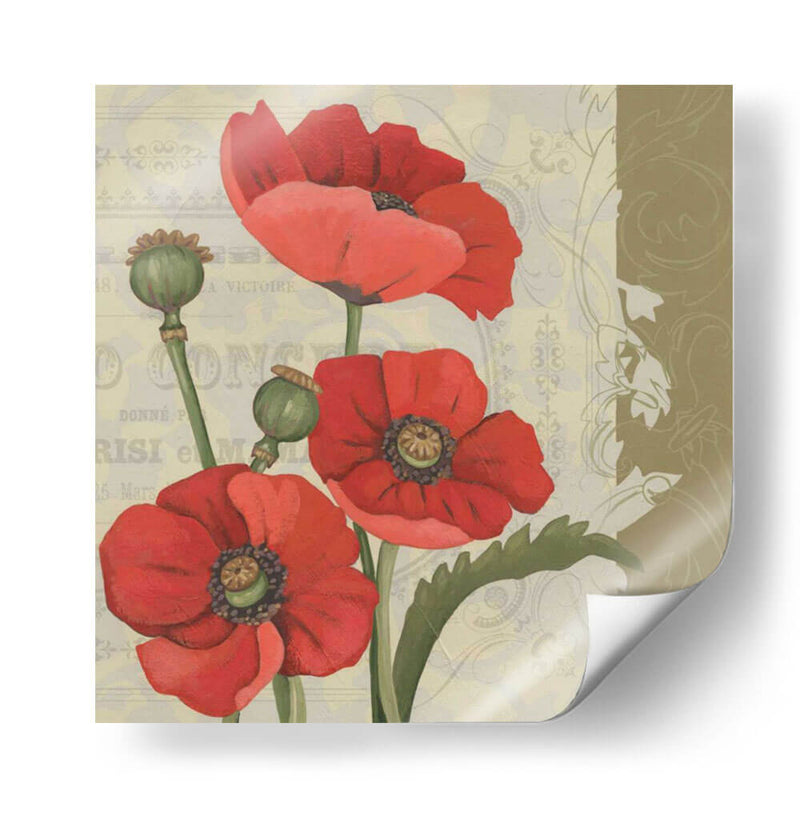 Paris Poppy Ii - Chariklia Zarris | Cuadro decorativo de Canvas Lab