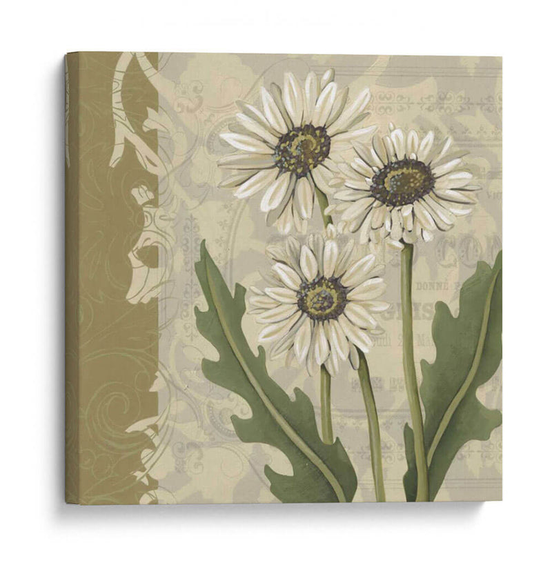 Paris Daisy I - Chariklia Zarris | Cuadro decorativo de Canvas Lab