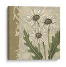 Paris Daisy I - Chariklia Zarris | Cuadro decorativo de Canvas Lab