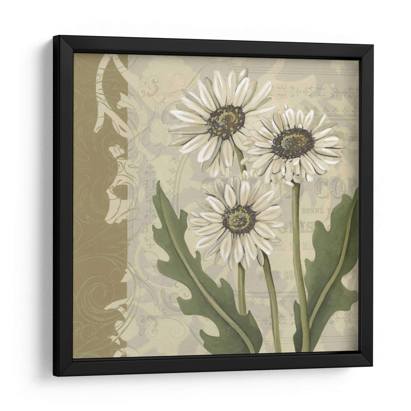 Paris Daisy I - Chariklia Zarris | Cuadro decorativo de Canvas Lab