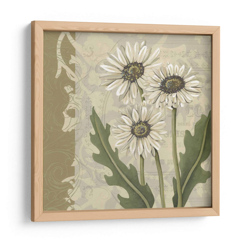 Paris Daisy I - Chariklia Zarris | Cuadro decorativo de Canvas Lab