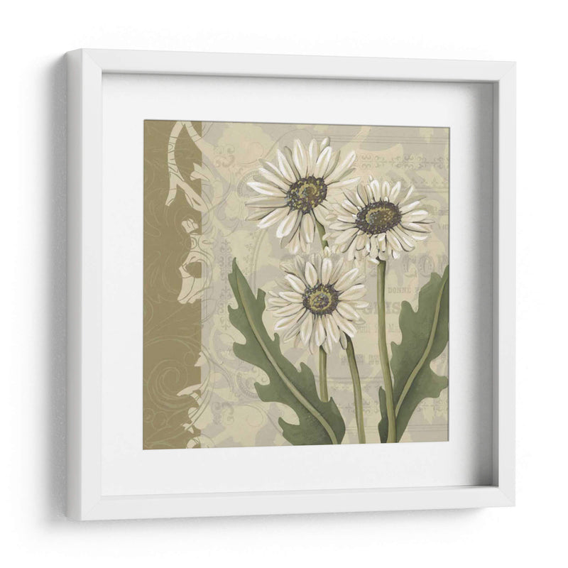 Paris Daisy I - Chariklia Zarris | Cuadro decorativo de Canvas Lab