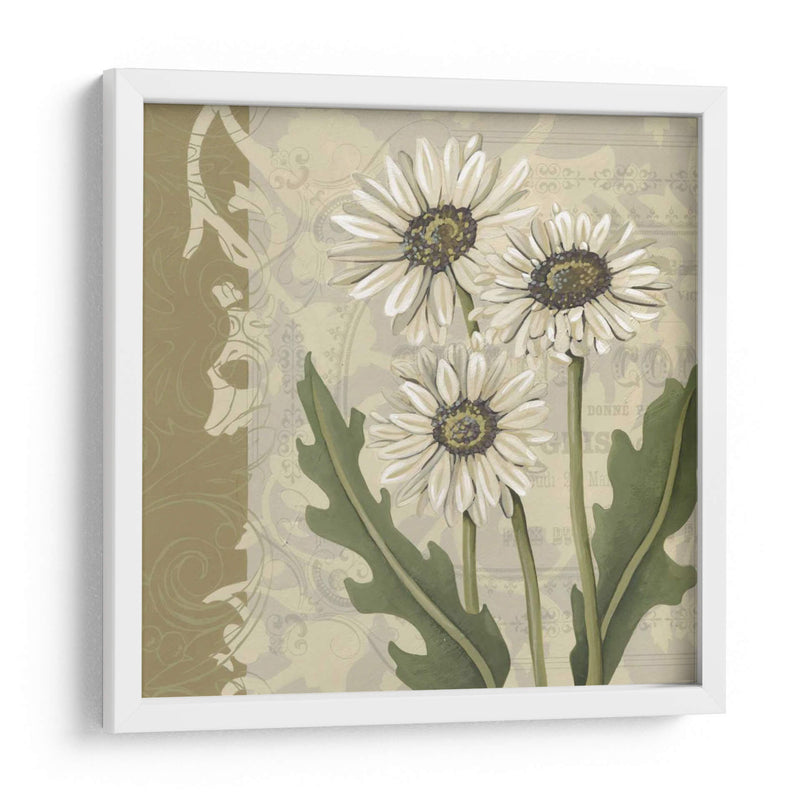 Paris Daisy I - Chariklia Zarris | Cuadro decorativo de Canvas Lab