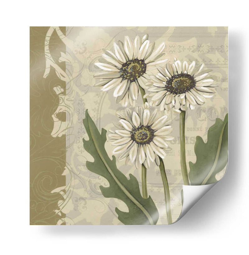 Paris Daisy I - Chariklia Zarris | Cuadro decorativo de Canvas Lab