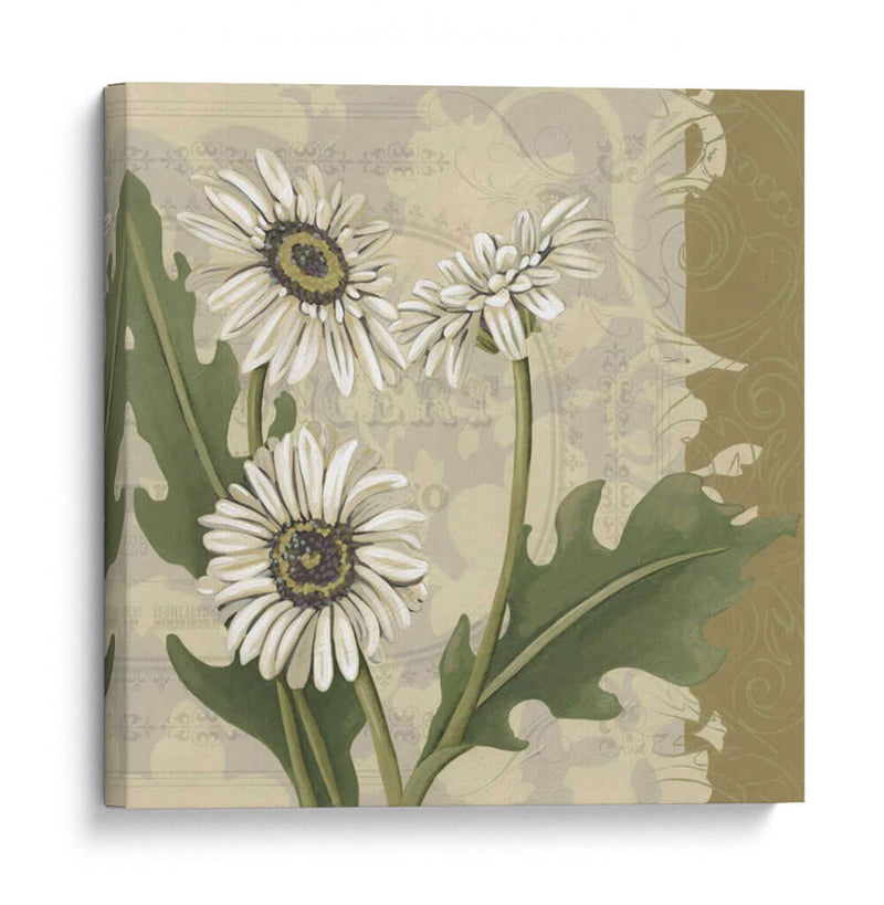 Paris Daisy Ii - Chariklia Zarris | Cuadro decorativo de Canvas Lab