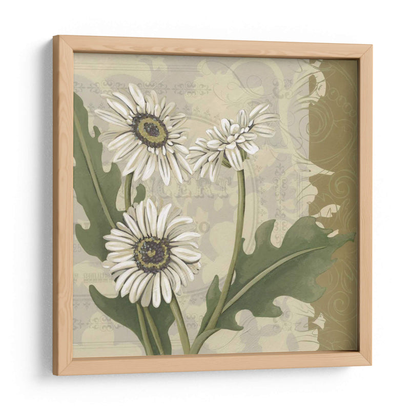 Paris Daisy Ii - Chariklia Zarris | Cuadro decorativo de Canvas Lab