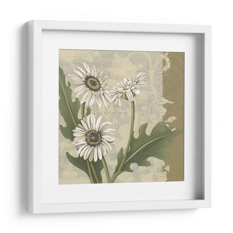 Paris Daisy Ii - Chariklia Zarris | Cuadro decorativo de Canvas Lab