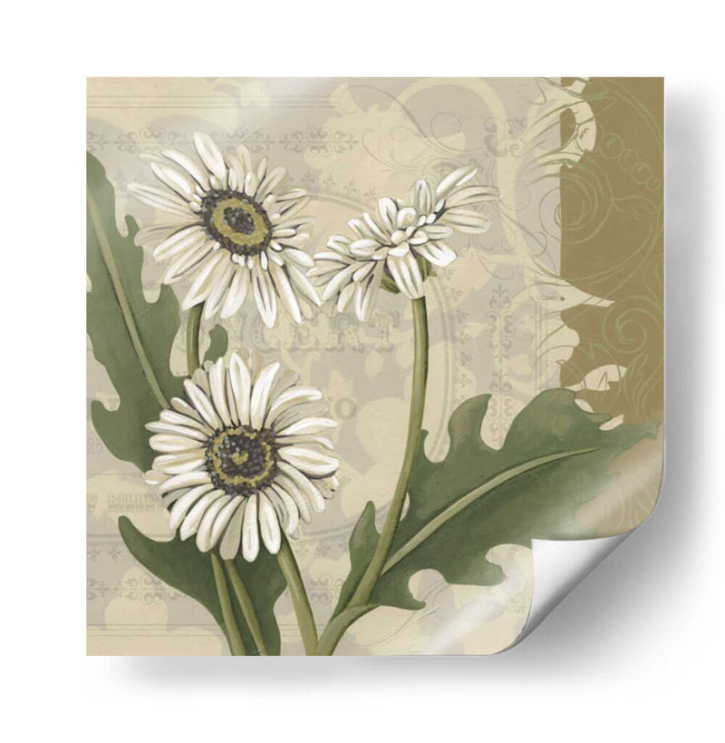 Paris Daisy Ii - Chariklia Zarris | Cuadro decorativo de Canvas Lab