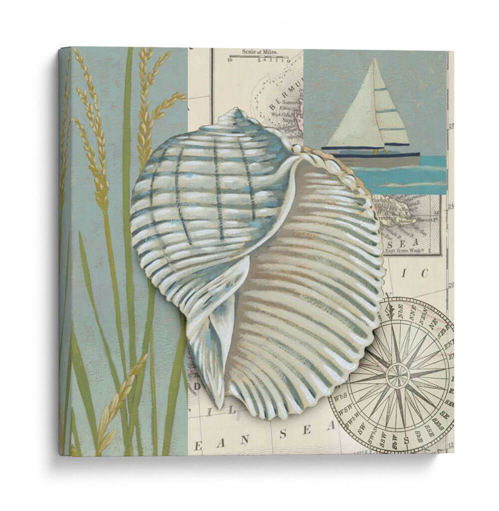 Cáscara Del Mar I - Chariklia Zarris | Cuadro decorativo de Canvas Lab