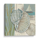 Cáscara Del Mar I - Chariklia Zarris | Cuadro decorativo de Canvas Lab