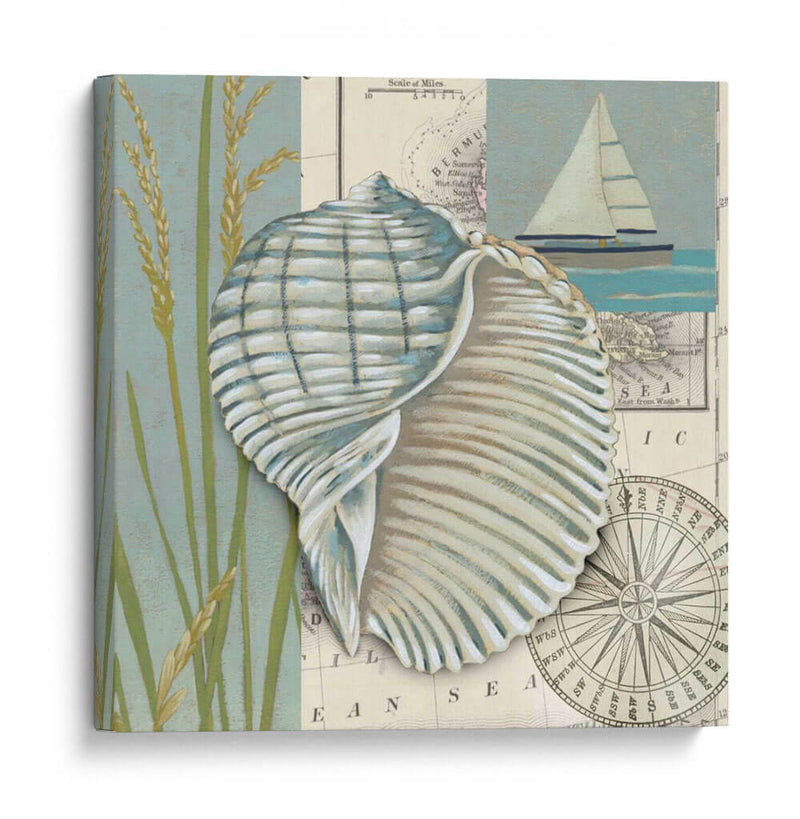 Cáscara Del Mar I - Chariklia Zarris | Cuadro decorativo de Canvas Lab