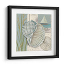 Cáscara Del Mar I - Chariklia Zarris | Cuadro decorativo de Canvas Lab