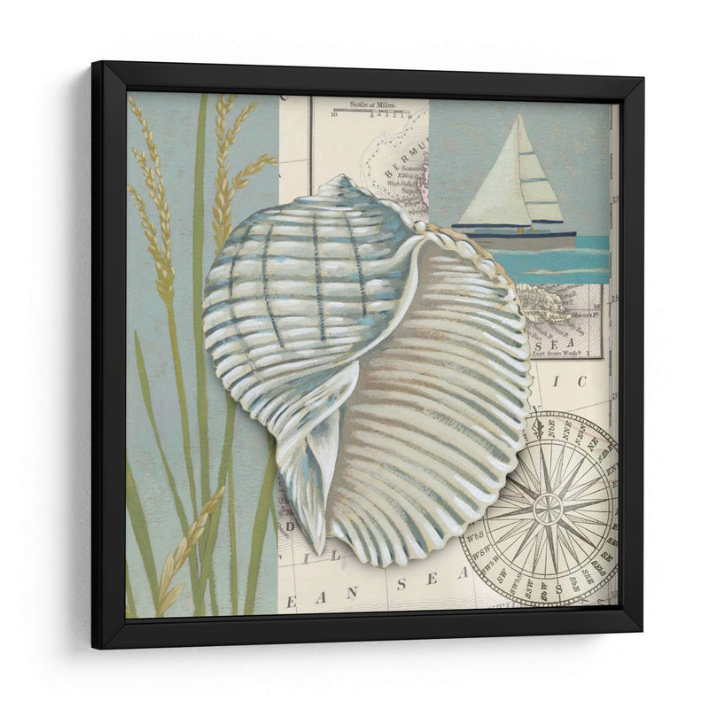 Cáscara Del Mar I - Chariklia Zarris | Cuadro decorativo de Canvas Lab