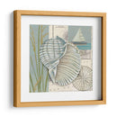 Cáscara Del Mar I - Chariklia Zarris | Cuadro decorativo de Canvas Lab