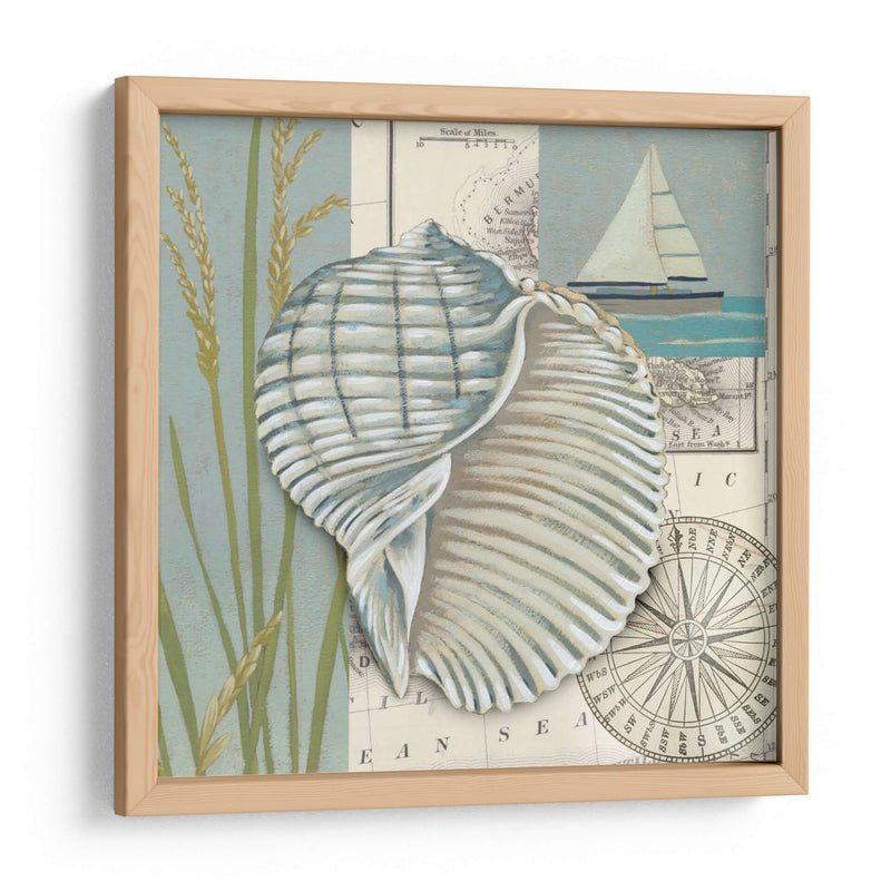 Cáscara Del Mar I - Chariklia Zarris | Cuadro decorativo de Canvas Lab