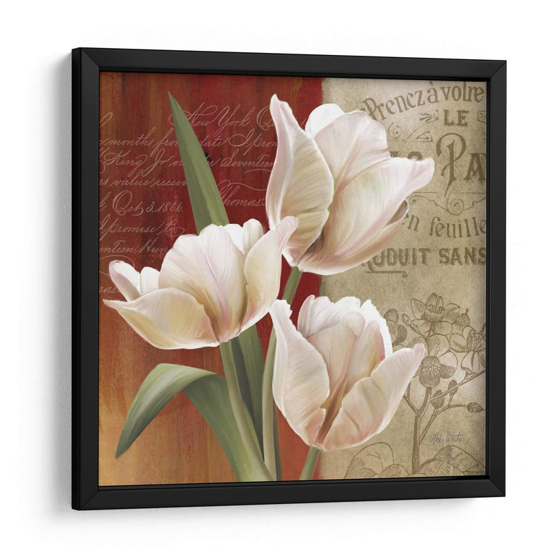 Collage De Tulipán Francés Ii - Abby White | Cuadro decorativo de Canvas Lab
