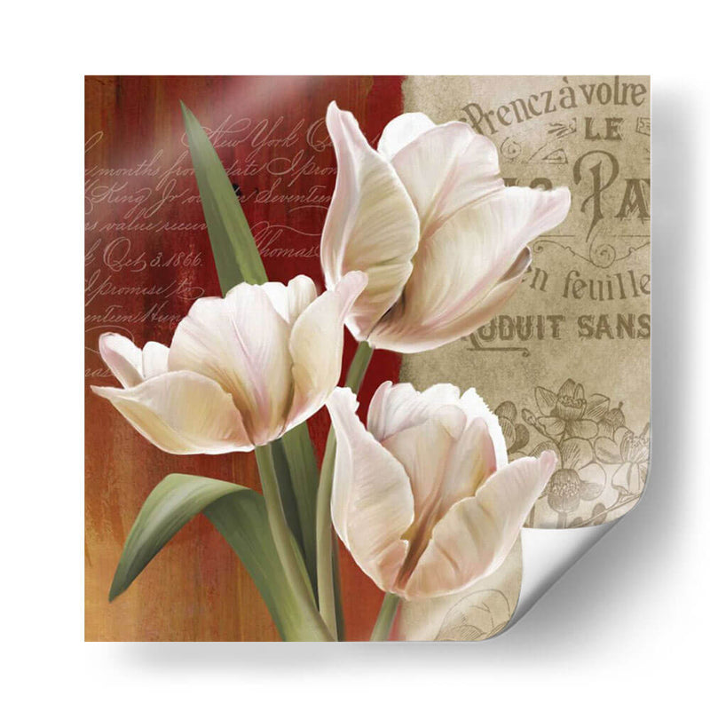 Collage De Tulipán Francés Ii - Abby White | Cuadro decorativo de Canvas Lab