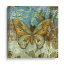 Mariposa Rústica I - Jennifer Goldberger | Cuadro decorativo de Canvas Lab