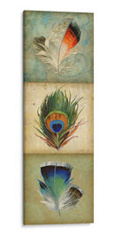 Tríptico De Plumas 2-Up I - Jennifer Goldberger | Cuadro decorativo de Canvas Lab