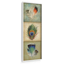 Tríptico De Plumas 2-Up I - Jennifer Goldberger | Cuadro decorativo de Canvas Lab