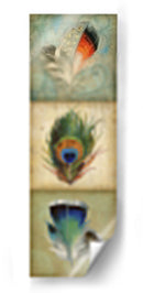 Tríptico De Plumas 2-Up I - Jennifer Goldberger | Cuadro decorativo de Canvas Lab